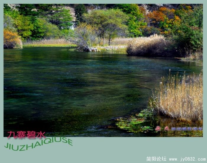 九寨碧水（五）——08副本副本.jpg