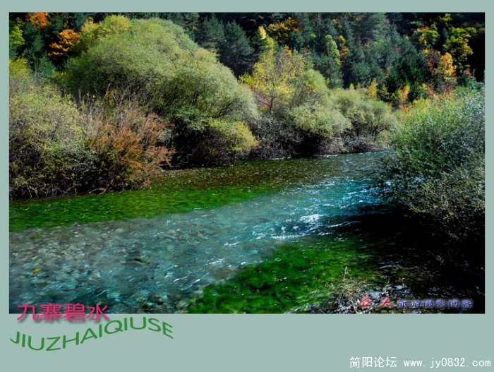 九寨碧水（五）——04副本副本.jpg