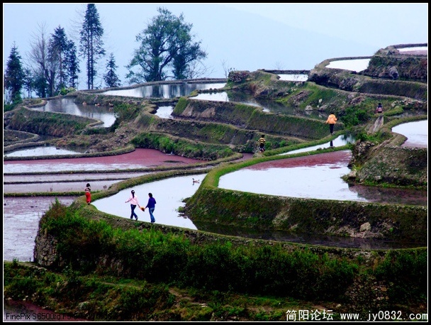 元阳-五彩梯田5.jpg
