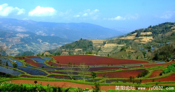 元阳-五彩梯田8.jpg