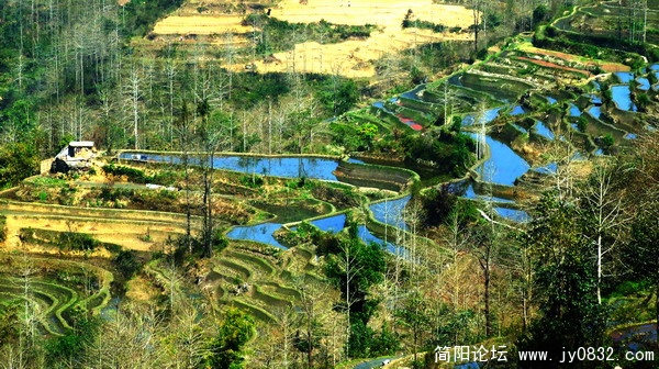 元阳-五彩梯田9.jpg