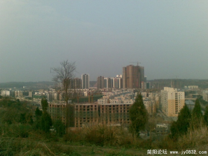 图像004.JPG