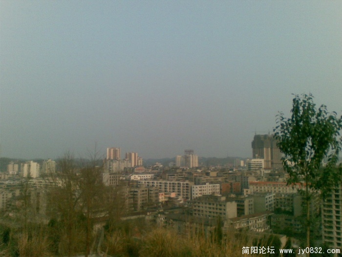 图像003.JPG