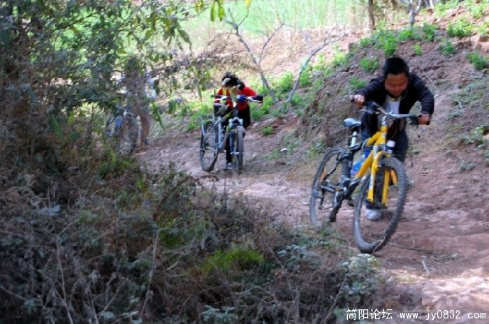 BigBull_DSC_9542.JPG