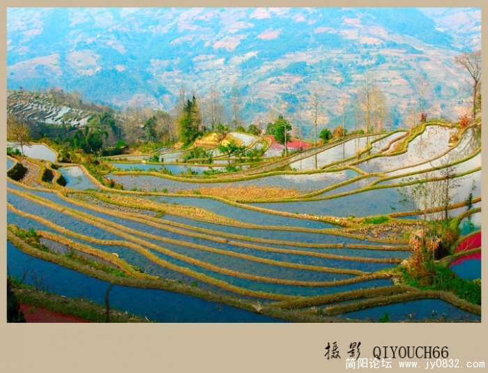 五彩梯田08.jpg
