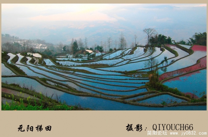 五彩梯田05.jpg