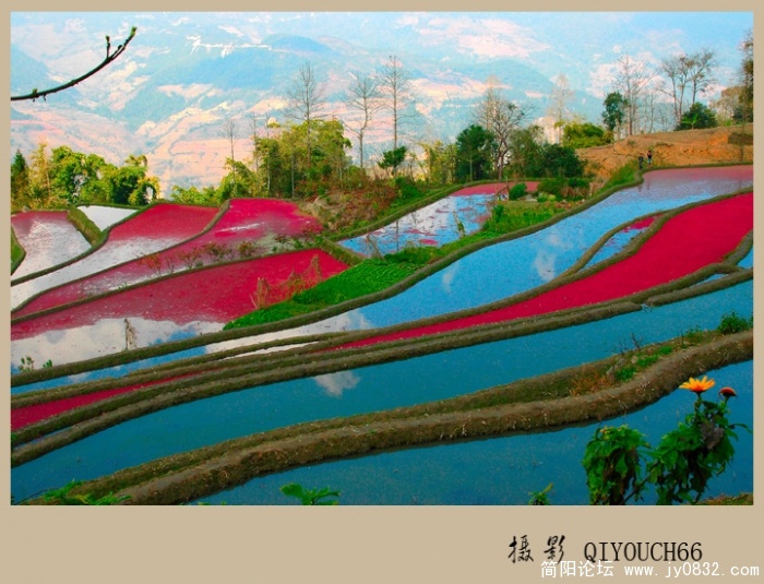 五彩梯田07.jpg