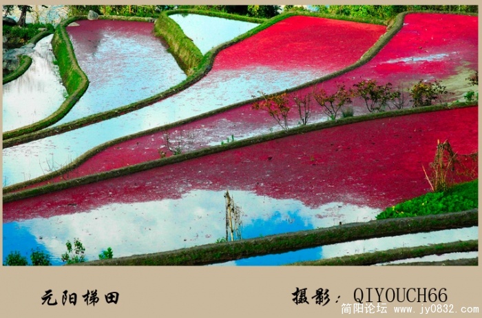 五彩梯田02.jpg