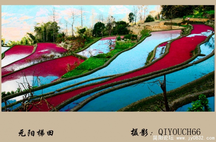 五彩梯田03.jpg