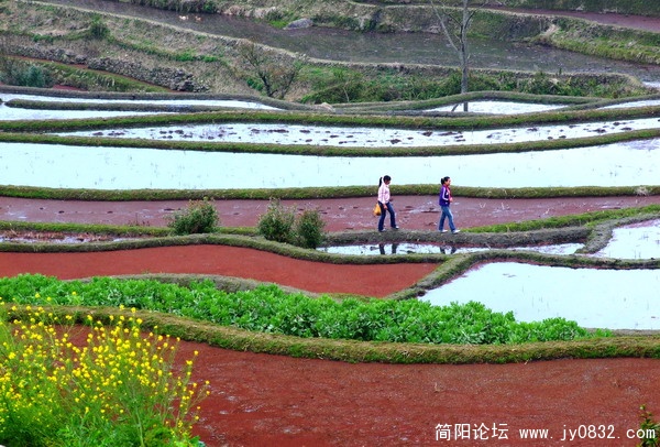 元阳-五彩梯田17.jpg