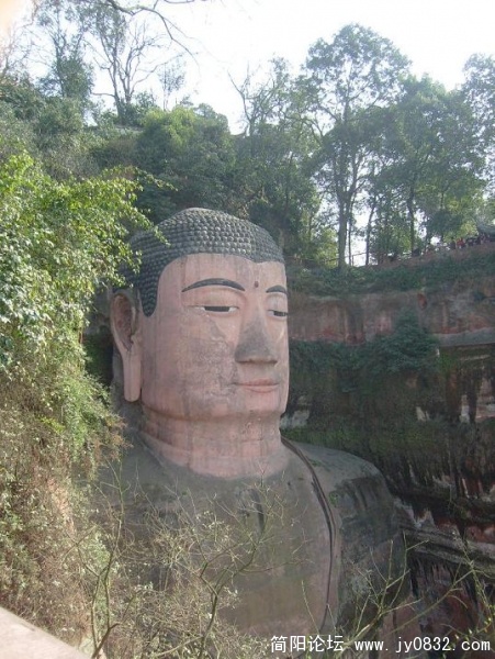 山环树绕？