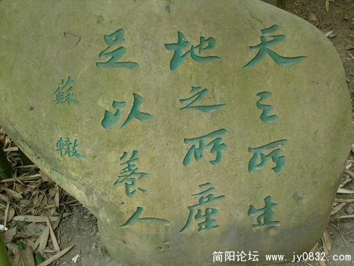 65.JPG