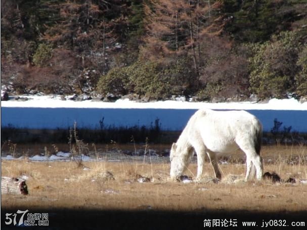 20090202_2445b8711c7d7026419bxg7OQOPED0MV.jpg