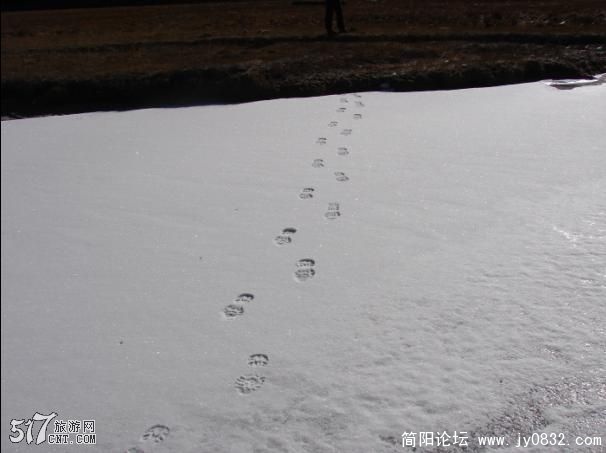 20090202_5534e6b7025270880208UjbCTVk2QCc8.jpg