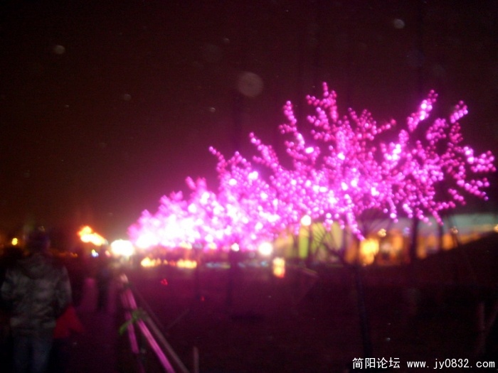 S73R3054.jpg