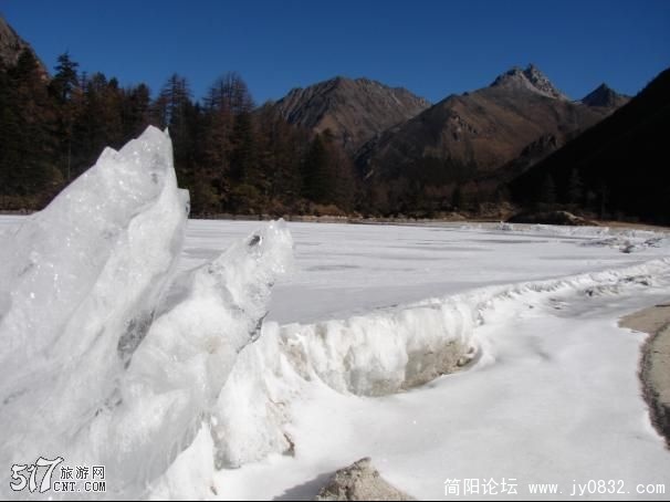 20090202_16ba25334b1d1a77aa23ihtyxGv8I8a1.jpg