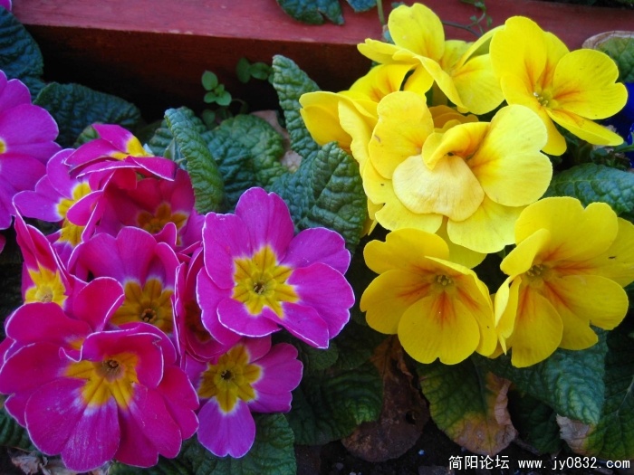 照片 213a.jpg