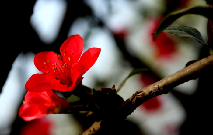 照片 038.JPG