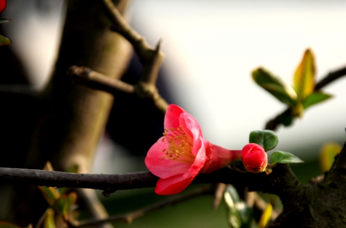 照片 117.JPG
