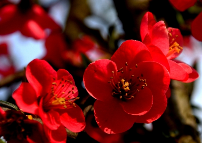 照片 084.JPG