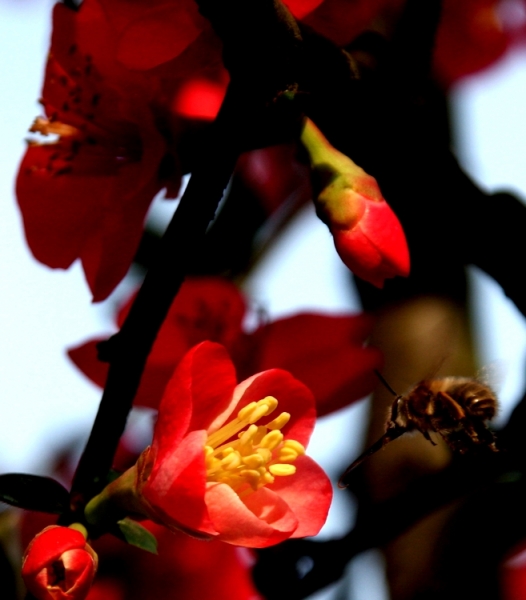 照片 082.JPG