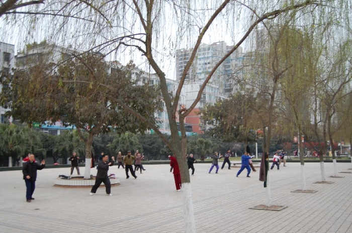 滨江公园晨练的们