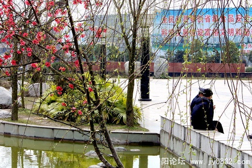 照片 116a.jpg