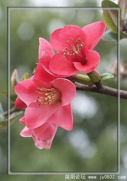 照片 122a.jpg