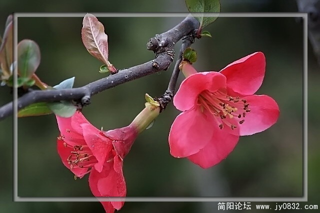 照片 127a.jpg