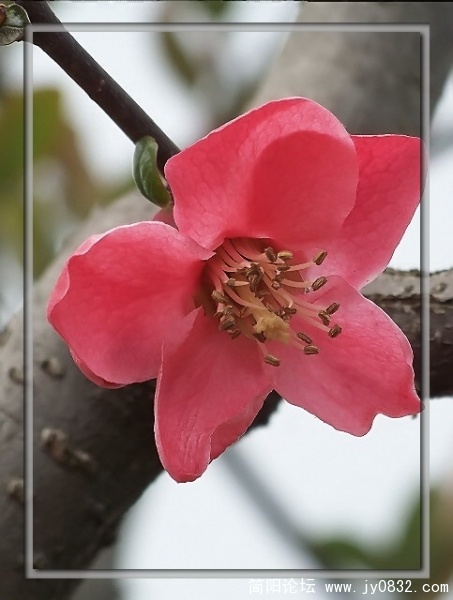 照片 124a.jpg