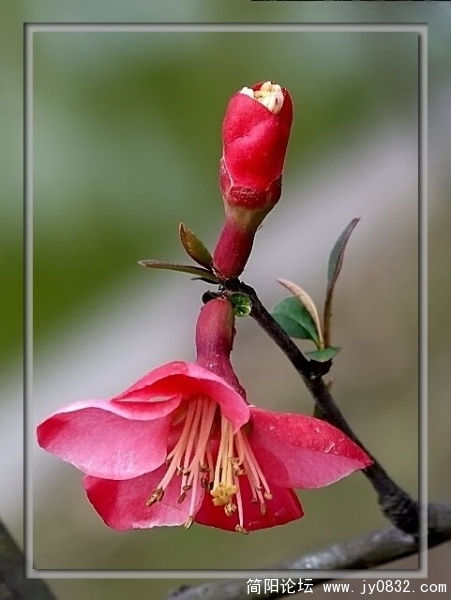 照片 107a.jpg