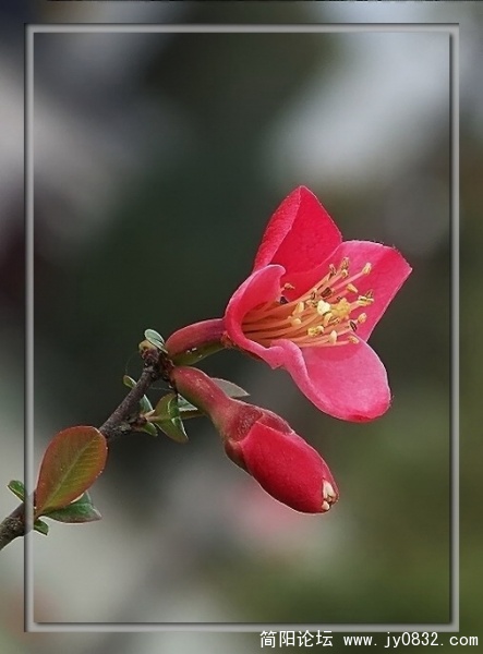 照片 104a.jpg