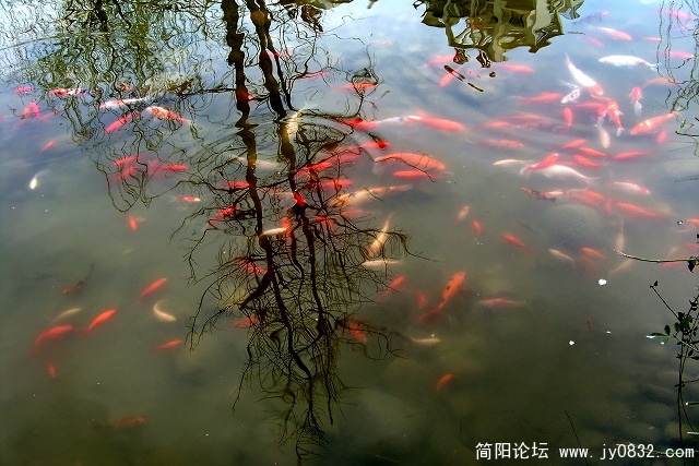 照片 110a.jpg