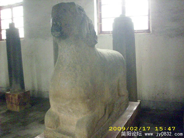 DSCI0387.jpg