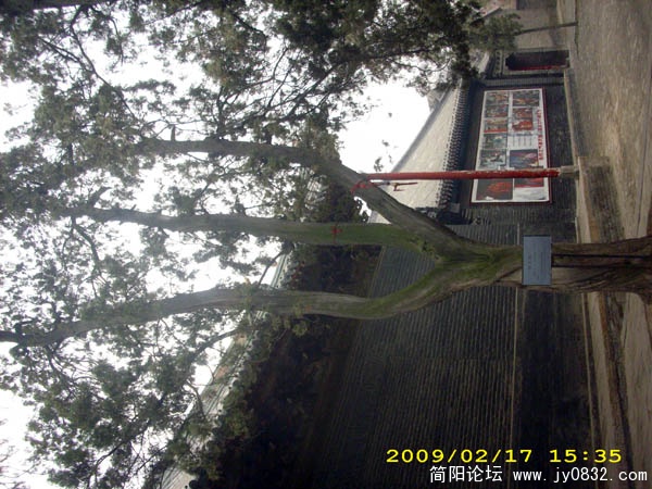 DSCI0383.jpg