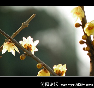 qq (9).jpg