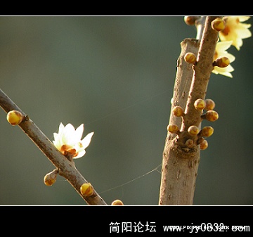 qq (8).jpg