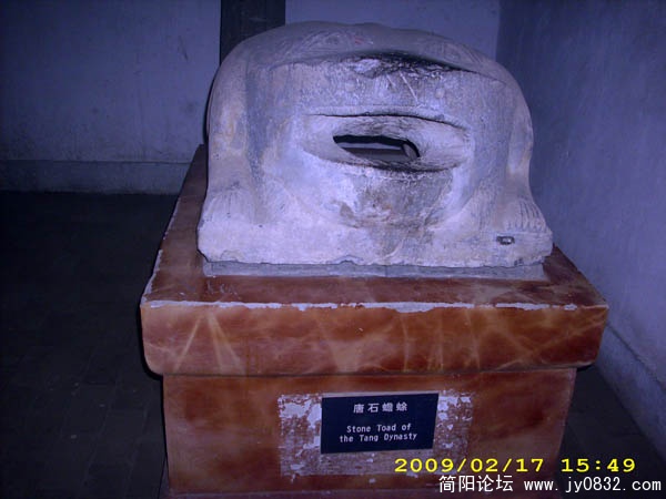 DSCI0394.jpg