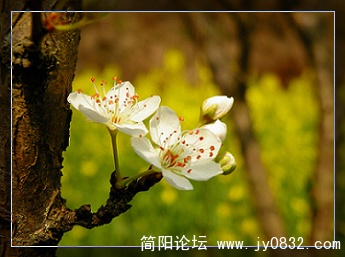 qq (1).jpg