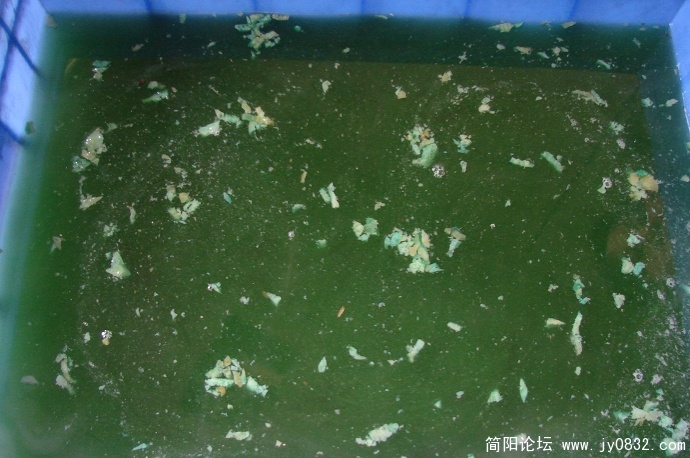 nEO_IMG_DSC08421.jpg