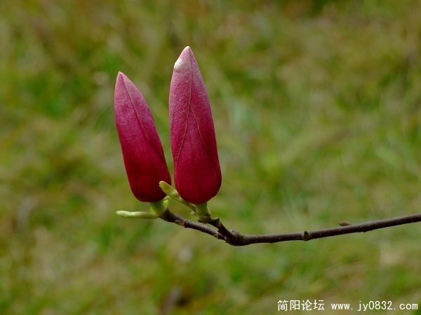 照片 274aa.jpg