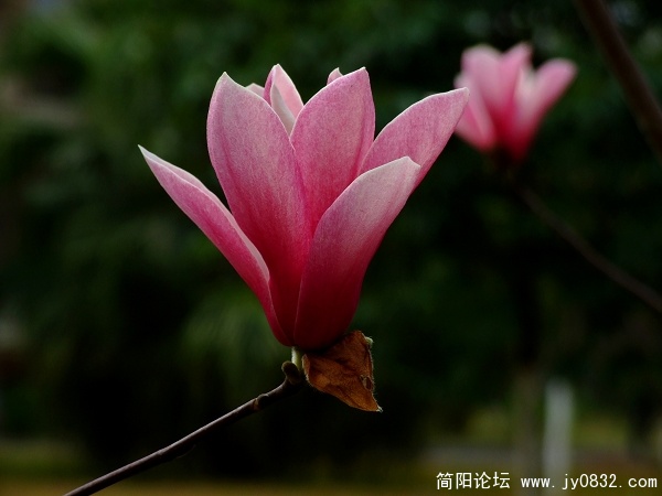 照片 273aa.jpg