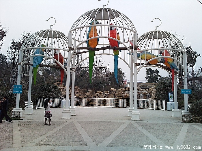 照片0545.jpg