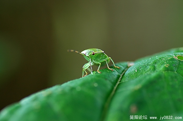 DSC_8934 拷贝.jpg