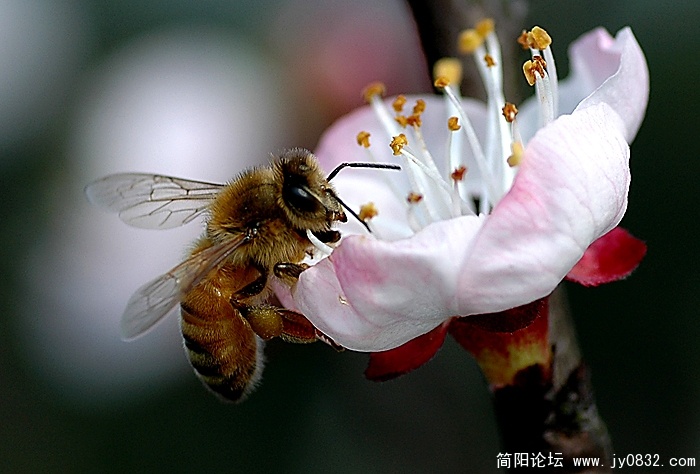 DSC_7604 拷贝.jpg