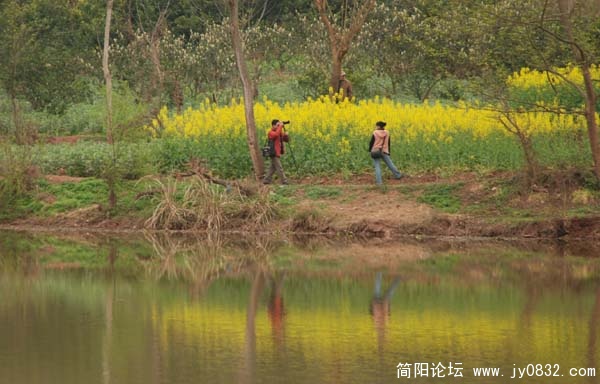 踏春.jpg
