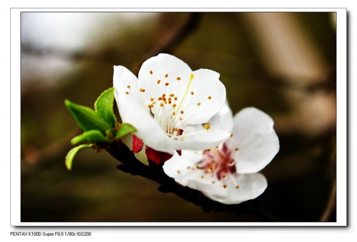 IMGP3972_调整大小.jpg