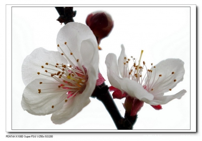 IMGP3970_调整大小.jpg