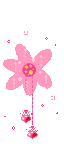 th_pcp_download_002.gif