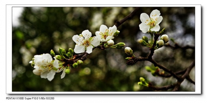 IMGP3964_调整大小_调整大小.jpg